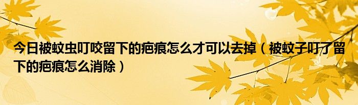 今日被蚊虫叮咬留下的疤痕怎么才可以去掉（被蚊子叮了留下的疤痕怎么消除）