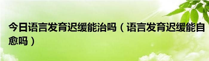 今日语言发育迟缓能治吗（语言发育迟缓能自愈吗）