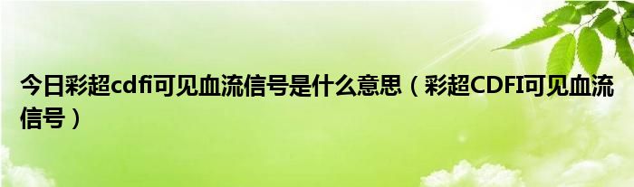 今日彩超cdfi可见血流信号是什么意思（彩超CDFI可见血流信号）