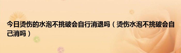 今日烫伤的水泡不挑破会自行消退吗（烫伤水泡不挑破会自己消吗）