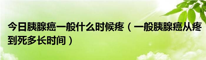 今日胰腺癌一般什么时候疼（一般胰腺癌从疼到死多长时间）