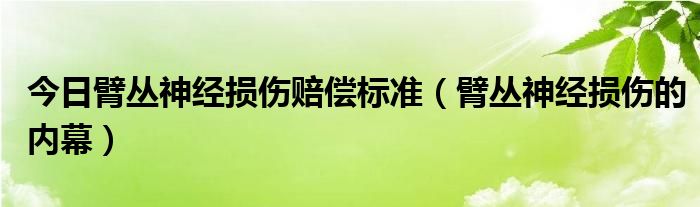 今日臂丛神经损伤赔偿标准（臂丛神经损伤的内幕）