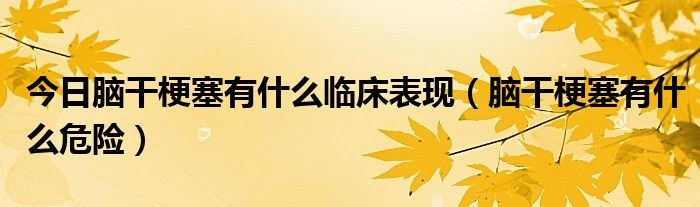 今日脑干梗塞有什么临床表现（脑干梗塞有什么危险）