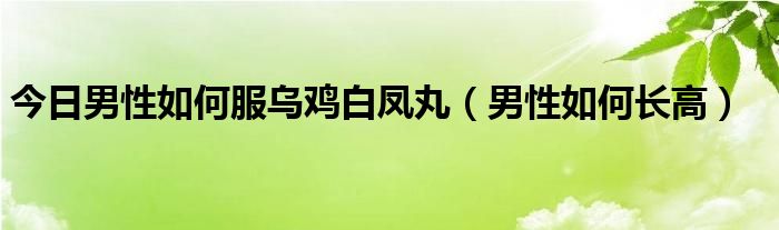 今日男性如何服乌鸡白凤丸（男性如何长高）