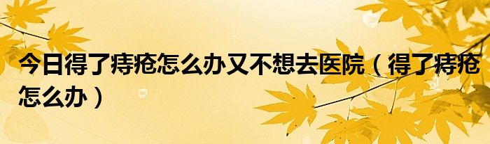 今日得了痔疮怎么办又不想去医院（得了痔疮怎么办）