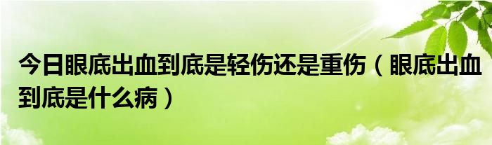 今日眼底出血到底是轻伤还是重伤（眼底出血到底是什么病）