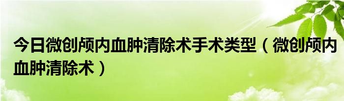 今日微创颅内血肿清除术手术类型（微创颅内血肿清除术）