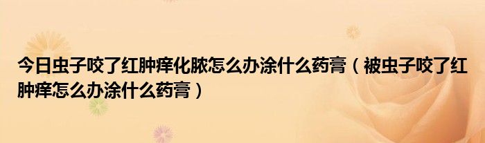 今日虫子咬了红肿痒化脓怎么办涂什么药膏（被虫子咬了红肿痒怎么办涂什么药膏）