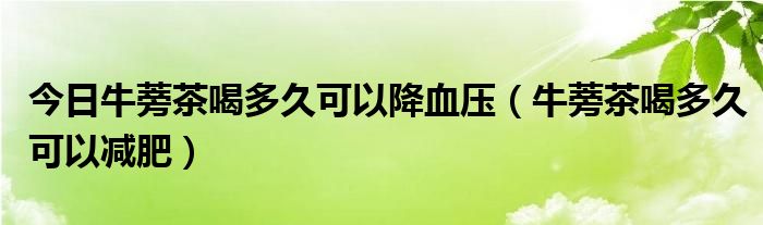 今日牛蒡茶喝多久可以降血压（牛蒡茶喝多久可以减肥）