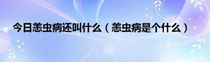 今日恙虫病还叫什么（恙虫病是个什么）