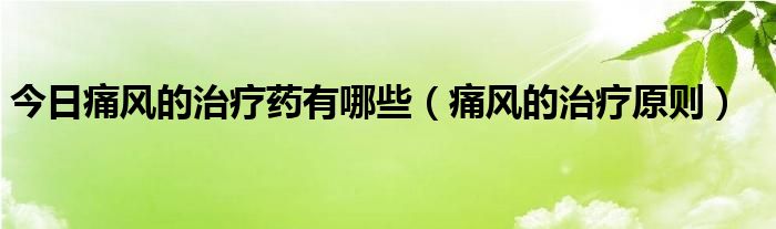 今日痛风的治疗药有哪些（痛风的治疗原则）