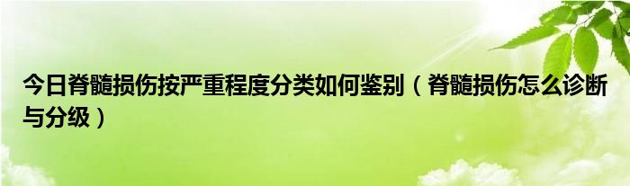 今日脊髓损伤按严重程度分类如何鉴别（脊髓损伤怎么诊断与分级）