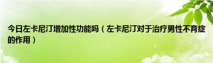 今日左卡尼汀增加性功能吗（左卡尼汀对于治疗男性不育症的作用）