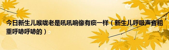 今日新生儿喉咙老是吼吼响像有痰一样（新生儿呼吸声音粗重呼哧呼哧的）