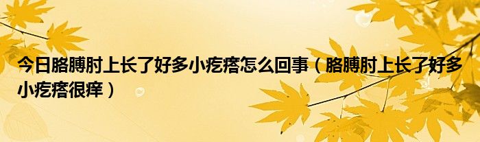 今日胳膊肘上长了好多小疙瘩怎么回事（胳膊肘上长了好多小疙瘩很痒）