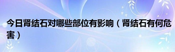 今日肾结石对哪些部位有影响（肾结石有何危害）