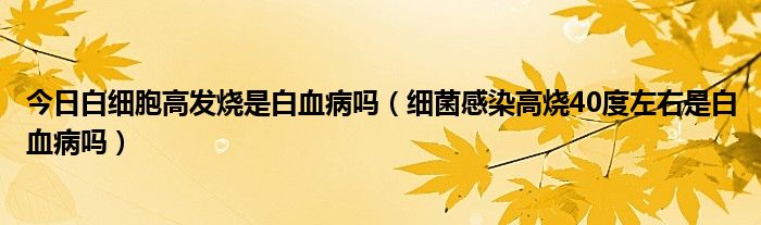 今日白细胞高发烧是白血病吗（细菌感染高烧40度左右是白血病吗）