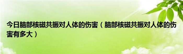 今日脑部核磁共振对人体的伤害（脑部核磁共振对人体的伤害有多大）