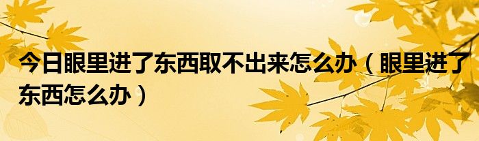 今日眼里进了东西取不出来怎么办（眼里进了东西怎么办）