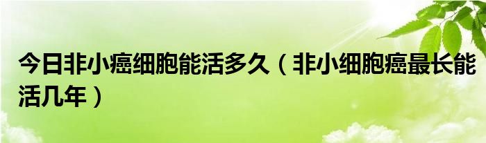 今日非小癌细胞能活多久（非小细胞癌最长能活几年）