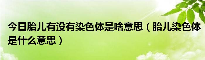 今日胎儿有没有染色体是啥意思（胎儿染色体是什么意思）