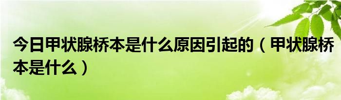 今日甲状腺桥本是什么原因引起的（甲状腺桥本是什么）