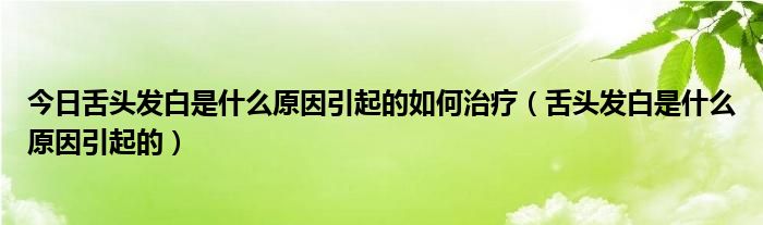 今日舌头发白是什么原因引起的如何治疗（舌头发白是什么原因引起的）