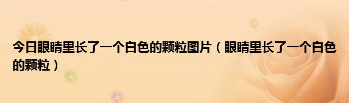 今日眼睛里长了一个白色的颗粒图片（眼睛里长了一个白色的颗粒）