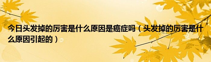 今日头发掉的厉害是什么原因是癌症吗（头发掉的厉害是什么原因引起的）