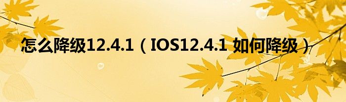 怎么降级12.4.1（IOS12.4.1 如何降级）