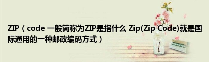 ZIP（code 一般简称为ZIP是指什么 Zip(Zip Code)就是国际通用的一种邮政编码方式）