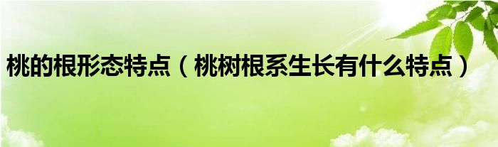 桃的根形态特点（桃树根系生长有什么特点）