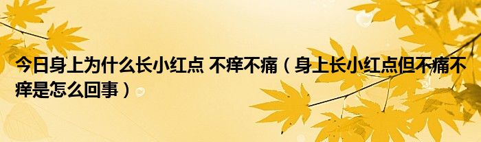 今日身上为什么长小红点 不痒不痛（身上长小红点但不痛不痒是怎么回事）