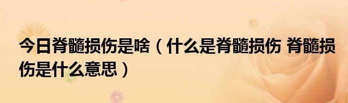 今日脊髓损伤是啥（什么是脊髓损伤 脊髓损伤是什么意思）