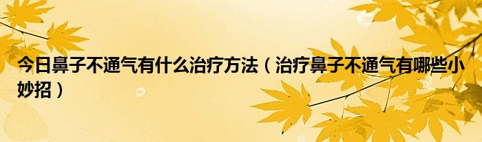 今日鼻子不通气有什么治疗方法（治疗鼻子不通气有哪些小妙招）