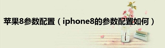 苹果8参数配置（iphone8的参数配置如何）