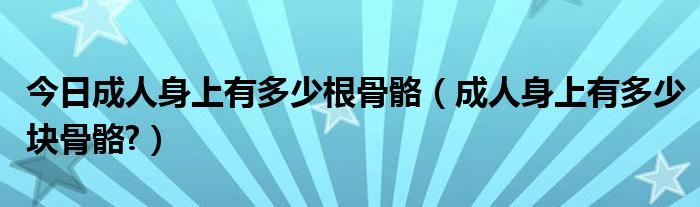 今日成人身上有多少根骨骼（成人身上有多少块骨骼?）