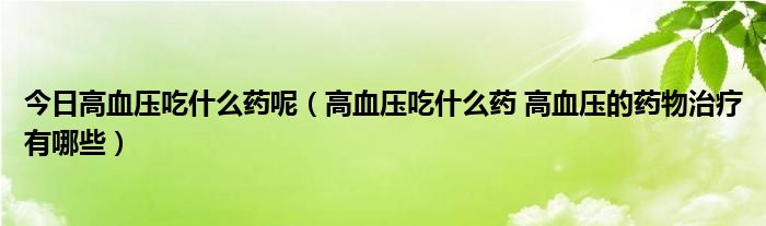 今日高血压吃什么药呢（高血压吃什么药 高血压的药物治疗有哪些）