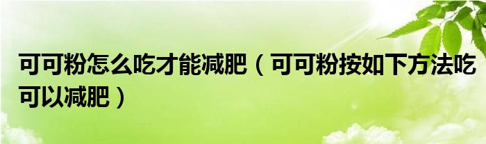 可可粉怎么吃才能减肥（可可粉按如下方法吃可以减肥）