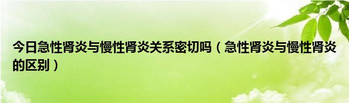 今日急性肾炎与慢性肾炎关系密切吗（急性肾炎与慢性肾炎的区别）