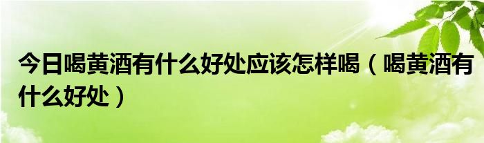 今日喝黄酒有什么好处应该怎样喝（喝黄酒有什么好处）