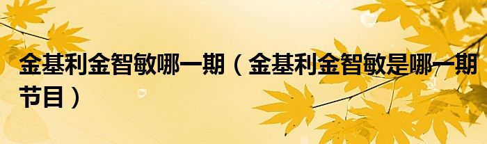 金基利金智敏哪一期（金基利金智敏是哪一期节目）