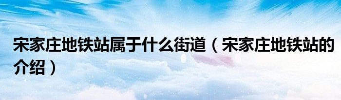 宋家庄地铁站属于什么街道（宋家庄地铁站的介绍）