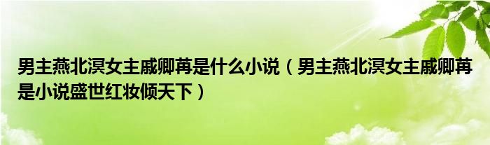 男主燕北溟女主戚卿苒是什么小说（男主燕北溟女主戚卿苒是小说盛世红妆倾天下）