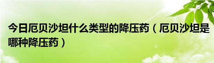 今日厄贝沙坦什么类型的降压药（厄贝沙坦是哪种降压药）