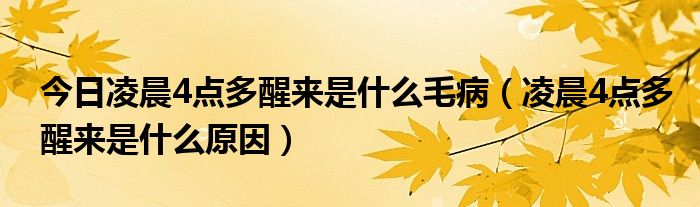 今日凌晨4点多醒来是什么毛病（凌晨4点多醒来是什么原因）