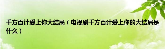 千方百计爱上你大结局（电视剧千方百计爱上你的大结局是什么）