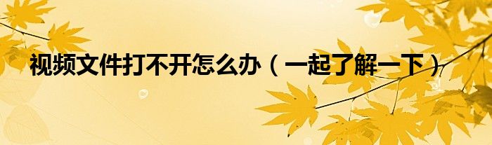 视频文件打不开怎么办（一起了解一下）