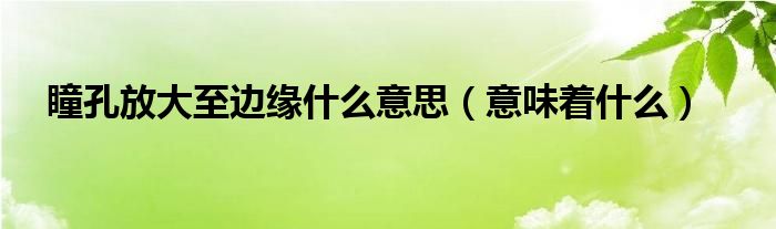 瞳孔放大至边缘什么意思（意味着什么）