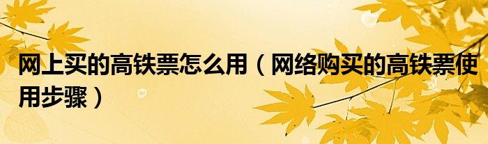 网上买的高铁票怎么用（网络购买的高铁票使用步骤）